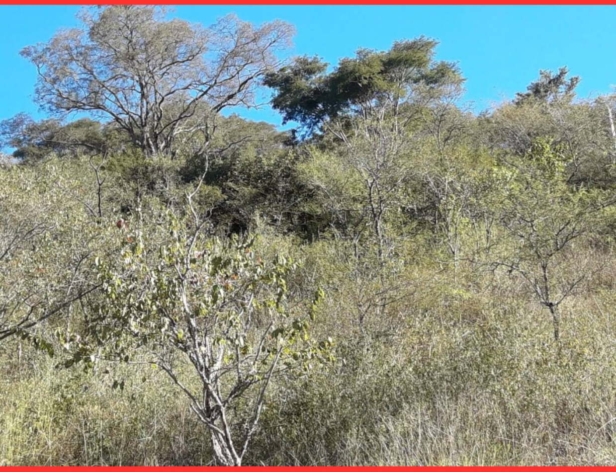 TERRENO EN VENTA LOTEO "LA MISION" - ZONA NORTE